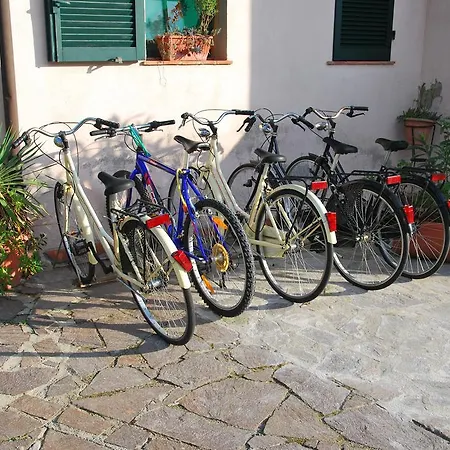 Complesso Mediterraneo Apartman *